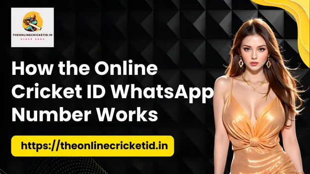 How the Online Cricket ID WhatsApp Number Works